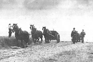 „Starea câmpului în Bucovina”