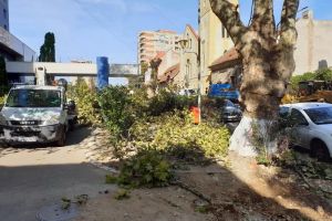 Lucrările la pasajul de pe Magheru: Defrişările se încheie joi, cu tăierea ultimilor cinci copaci din zona şantierului (FOTO)