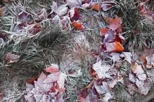 Azi-noapte, minus 4,2 grade Celsius, cea mai scăzută temperatură din ţară, în luna septembrie 2019