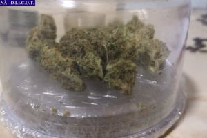 DIICOT: Barbati, retinuti pentru trafic si consum ilicit de droguri