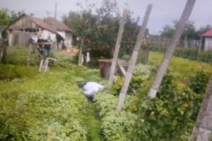 Bărbat găsit mort într-o vie din oraşul Urlaţi