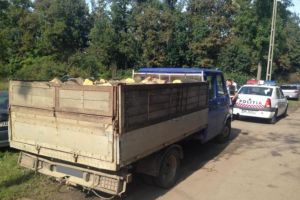 A încercat să transporte lemne cu un document de însoţire fals