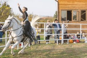 Turnir medieval, spectacole ecvestre deosebite, concerte în locaţii inedite  şi activităţi în natură: o parte din activităţile interesante de la  Dracula Horse Festival