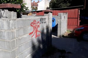 Primăria a REACŢIONAT în cazul ŞOBOLANILOR GIGANTICI. Ce măsuri au fost luate (GALERIE FOTO)