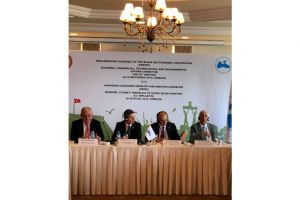 Reuniunea APCE:   Visan (PSD) - Statele din Marea Neagra au nevoie de o cooperare pentru a-si atinge interesele legitime si potentialul maxim de dezvoltare“