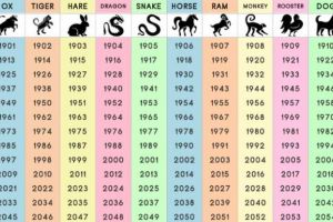 Zodiacul Chinezesc pentru weekend-ul 21-22 septembrie. Ce nebunie! Iepurele şi şobolanul se întrec!