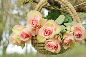 Iti doresti sa repari o greseala? Iata ce flori online sa oferi atunci cand vrei sa iti ceri scuze