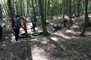 Campanie Romsilva în păduri din Argeş