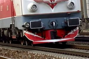 Un tren de persoane a lovit patru vaci la ieşirea din Șintereag