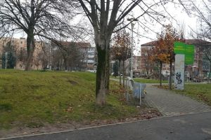 Cu alcool sau etnobotanice în parcurile Timişoarei. Poliţia Locală dă amenzi cu nemiluita