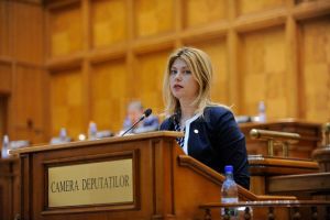 Maricela Cobuz: Camera Deputaţilor a adoptat legea prin care persoanele fără CNP au acces la ...