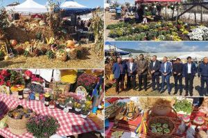 FOTO/LIVE VIDEO: Târgul Apulum Agraria 2019 – Demonstraţii culinare, produse de sezon, ateliere pentru copii şi expoziţii de animale, la Alba Iulia