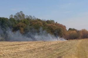 Pompierii au intervenit la peste 500 de incendii de vegetaţie uscată, în mai puţin de o lună şi jumătate