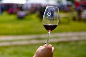 Vinul celor două Moldove reunit la Iaşi