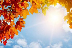 Sfârşit de săptămână cu vreme frumoasă la Satu Mare. Ce spun meteorologii