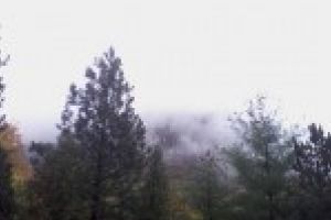 Direcţia Judeţeană pentru Sport şi Tineret Dolj, în colaborare cu Direcţia Silvică Dolj, organizează sâmbătă, 21 septembrie 2019, ora 9.30, acţiunea “Mişcare pentru un mediu curat”