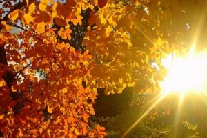 Prognoza METEO pentru weekend: Vreme răcoroasă sâmbătă şi temperaturi în creştere duminică