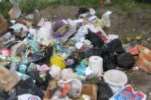 „Ziua Curăţeniei”, marca Let`s Do It, România. Judeţele Timiş şi Caraş-Severin, pe listă!