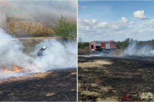 FOTO. Două incendii de vegetaţie într-o singură zi. Pompierii trag un semnal de alarmă
