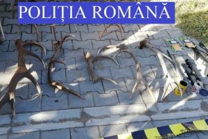 UPDATE. Arsenal militar găsit la patru mureşeni suspecţi de braconaj!