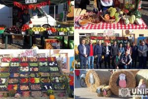 FOTO. “Ziua Recoltei” 2019, la Aiud. Legume, fructe şi produse tradiţionale, expuse spre vânzare de producătorii agricoli în Piaţa ”Dr. Costantin Hagea”