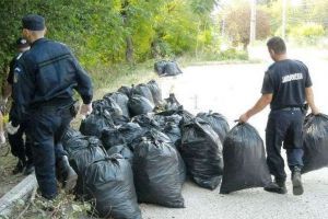 Jandarmii din Alba Iulia s-au implicat în ampla acţiune de ecologizare în pădurea din zona Mamut, sub deviza „Mişcare pentru un mediu mai curat”