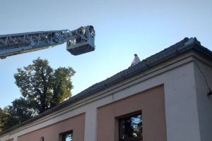 VIDEO FOTO Alertă la spitalul de Psihiatrie – O femeie a ameninţat că se aruncă de pe o clădire