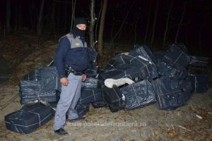 Tigari de contrabanda descoperite intr-o padure din Sarasau