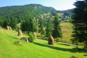 FOTO: Satul de la capătul lumii. Un cătun din Apuseni păstrează încă poveştile, tainele şi oamenii lui care nu l-au părăsit