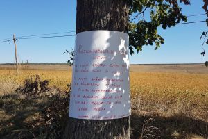 FOTO Incredibil! Blesteme  pe marginea unui drum judeţean din Botoşani. Cel care le-a scris este un şofer nemulţumit de starea drumului