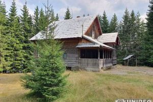 FOTO. Tinerii români „îndrăgostiţi” de cultură: Cabana lui Sadoveanu, de pe malul lacului Oaşa, musteşte de mesaje de dragoste scrijelite-n lemn