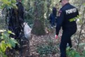 Luptă cu focul, dar şi cu nesimţirea! Salvatorii de la ISU au curăţat zona Lugoj – Buziaş – Făget