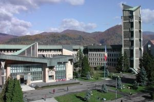 Consiliul Judetean, sedinta la Viseu de Sus. Lista proiectelor care ar putea fi aprobate