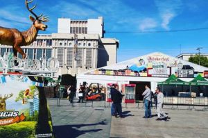 Oktoberfest la Piteşti, a doua ediţie