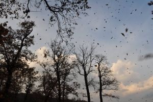 Începe toamna astronomică. Ziua tot scade şi noaptea creşte