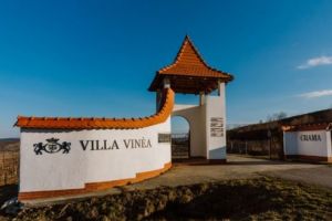Creştere spectaculoasă a vânzărilor pentru Villa Vinèa