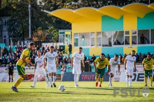 Pas greşit, pe Areni, pentru Foresta