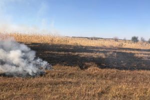 În ciuda controalelor derulate de autorităţi, oamenii continuă să incendieze vegetaţia uscată