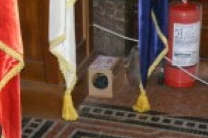 Începe a treia etapă de deratizare pe domeniul public din acest an