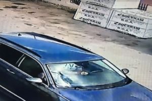 Cazul fetiţei UCISE de un pedofil olandez EXPLODEAZĂ în presa internaţională