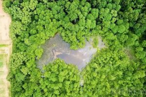 Săcueni şi Lacul Cicoş ascund frumuseţi neştiute ale Bihorului (FOTO / VIDEO)