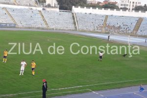 Haz in tribune: Un caine a intrat pe teren la meciul FC Farul - Ripensia Timisoara (galerie foto)