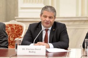 Scut în jurul lui Bodog: Senatul nu permite urmărirea penală a fostului ministru. PSD-istul se pretinde victima unei răzbunări