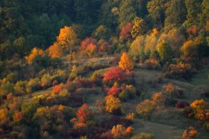 Prognoza meteo pentru intervalul 23 septembrie – 6 octombrie, in Maramures