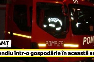 NEAMȚ: Incendiu într-o gospodărie, în această seară