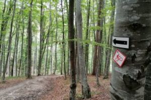 Două poteci pentru ciclişti, marcate de Salvamont