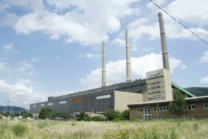 Mintia intră în iarnă fără să aibă ce pune pe foc