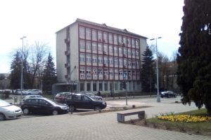 Primaria Baia Mare: Postul de director general al Directiei Generale Dezvoltare Publica, scos la concurs