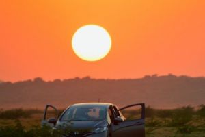 Constructorul care a decis să renunţe la motoarele diesel