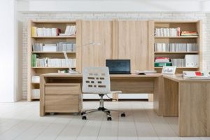 Mobilier de birou: de la scaune ergonomice la mobilier premium